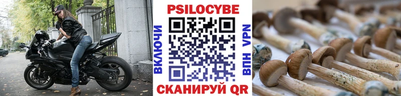 дарк нет состав  Канаш  Псилоцибиновые грибы мицелий  где продают  